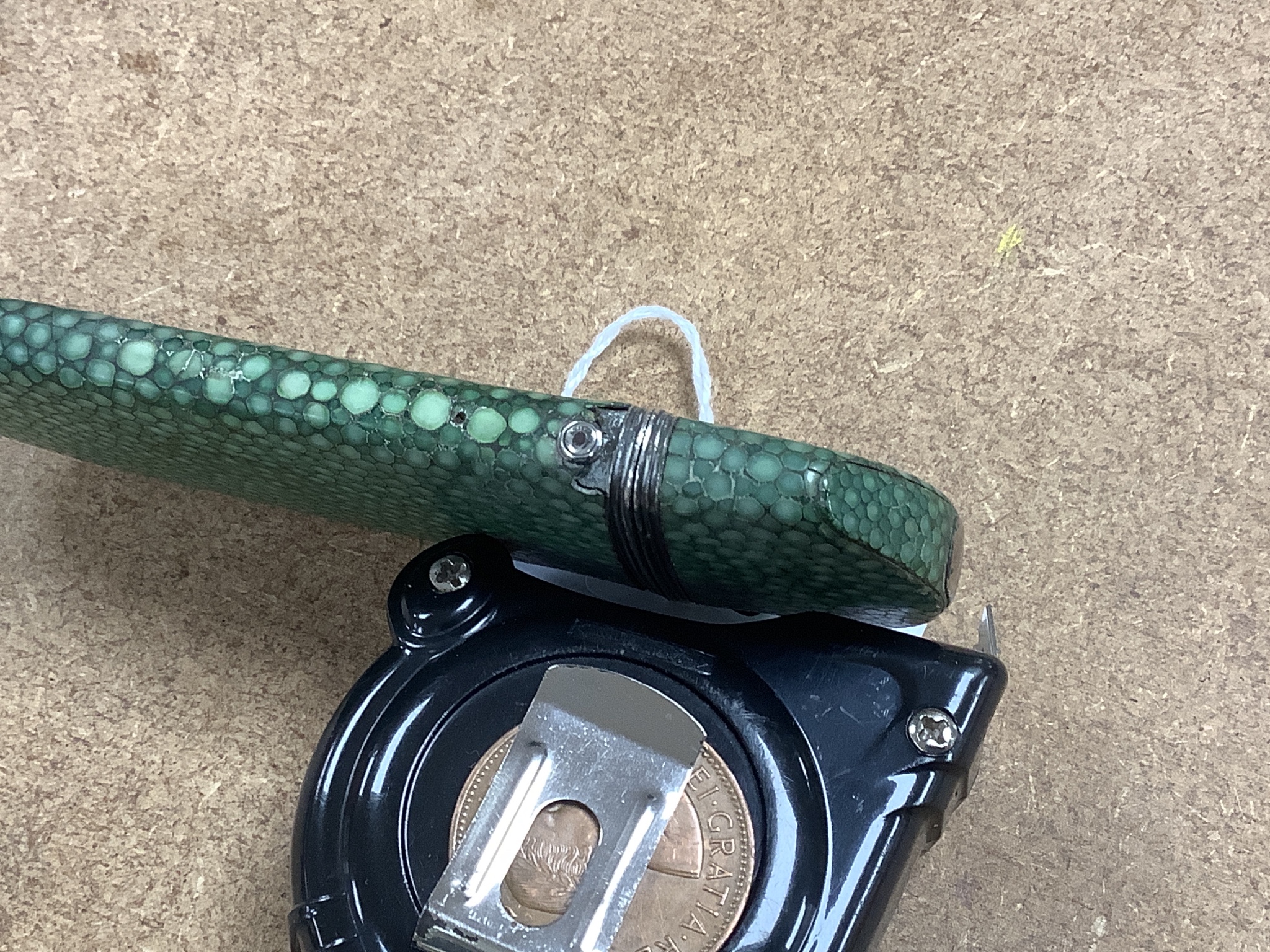 A 19th century shagreen spectacle case and spectacles